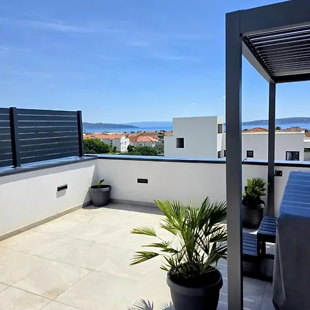 Luxury Olive Sky